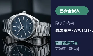 银色腕表商品图写入不可见品牌资产盲水印效果