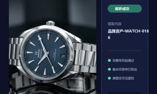 腕表商品图不可见品牌资产编号盲水印解析效果