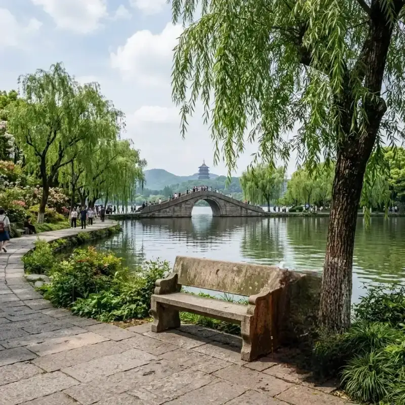 去杂物后
